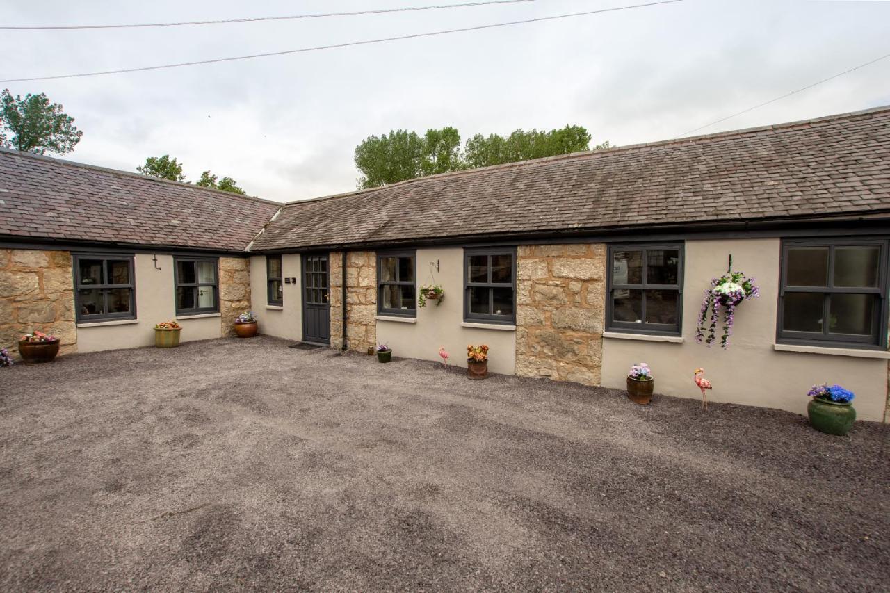 Dwylig Isa Holiday Cottages Rhuddlan 外观 照片